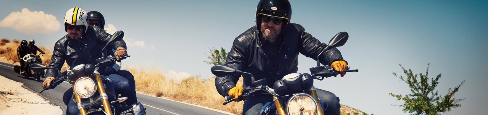 Kradblatt &#8211; Staging