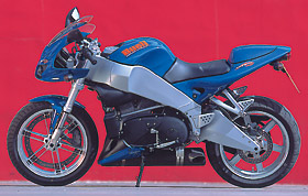 Kradblatt &#8211; Staging