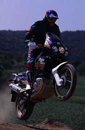 Kradblatt &#8211; Staging