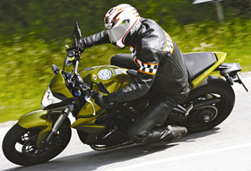 Kradblatt &#8211; Staging