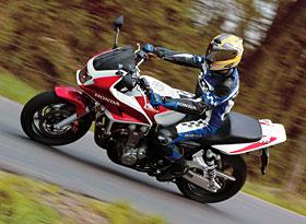 Kradblatt &#8211; Staging