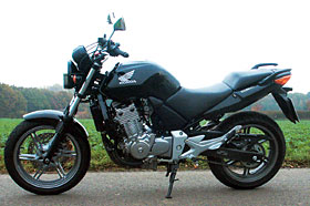 Kradblatt &#8211; Staging