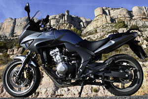 Kradblatt &#8211; Staging