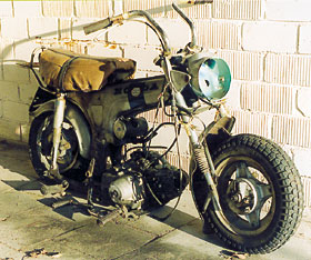 Kradblatt &#8211; Staging