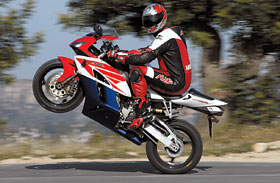 Kradblatt &#8211; Staging