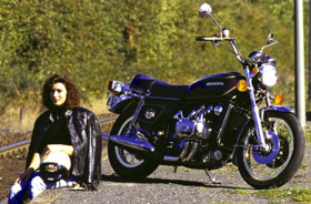 Kradblatt &#8211; Staging