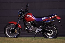 Kradblatt &#8211; Staging