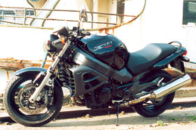 Kradblatt &#8211; Staging