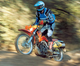 Kradblatt &#8211; Staging