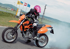 Kradblatt &#8211; Staging