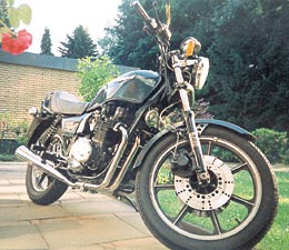 Kradblatt – Staging