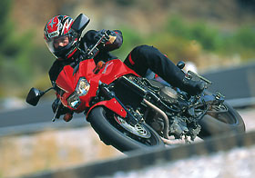 Kradblatt &#8211; Staging