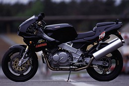 Kradblatt &#8211; Staging