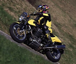 Kradblatt &#8211; Staging