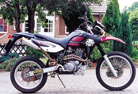 Kradblatt &#8211; Staging