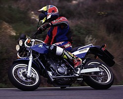 Kradblatt &#8211; Staging