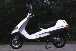 Kradblatt &#8211; Staging