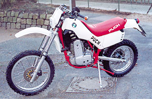 Kradblatt &#8211; Staging