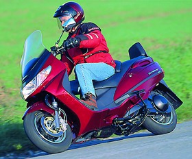 Kradblatt &#8211; Staging