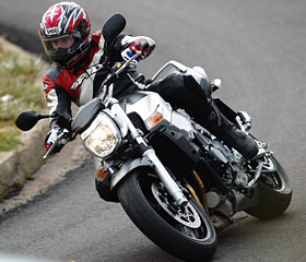 Kradblatt – Staging