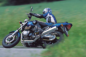 Kradblatt – Staging