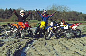 Kradblatt &#8211; Staging