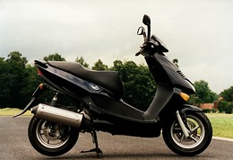 Kradblatt – Staging