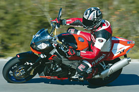 Kradblatt – Staging