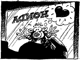 Kradblatt &#8211; Staging