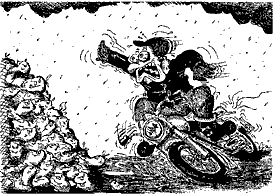 Kradblatt &#8211; Staging