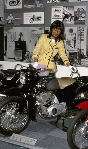 Kradblatt &#8211; Staging