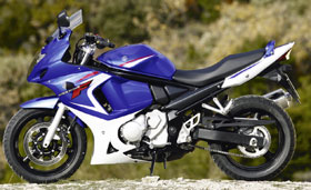 Kradblatt – Staging