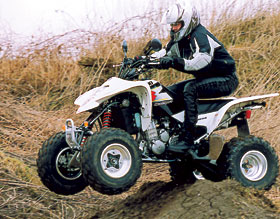 Kradblatt – Staging