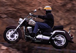 Kradblatt – Staging