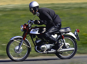 Kradblatt &#8211; Staging