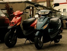 Kradblatt &#8211; Staging