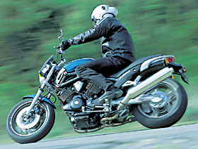 Kradblatt &#8211; Staging