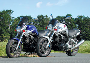 Kradblatt &#8211; Staging