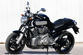 Kradblatt &#8211; Staging