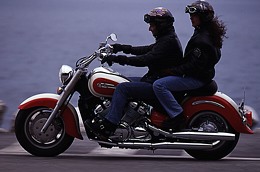 Kradblatt &#8211; Staging