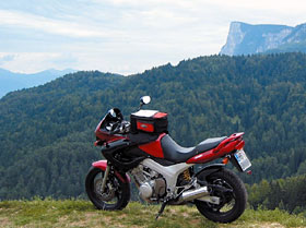 Kradblatt &#8211; Staging