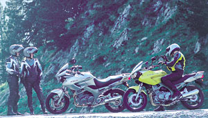 Kradblatt &#8211; Staging