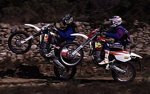 Kradblatt &#8211; Staging