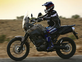 Kradblatt &#8211; Staging