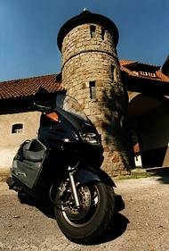 Kradblatt &#8211; Staging