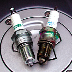 Kradblatt &#8211; Staging