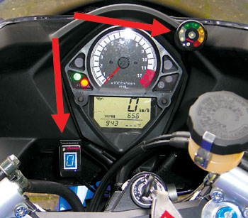 Kradblatt &#8211; Staging