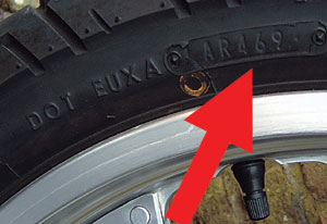 Kradblatt &#8211; Staging