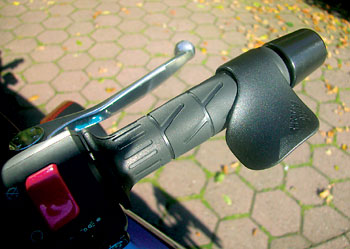 Kradblatt &#8211; Staging