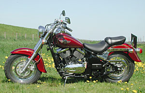 Kradblatt &#8211; Staging